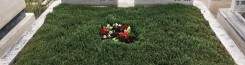 Mezar Bakımı Ankara